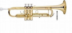 Trumpet entry model 