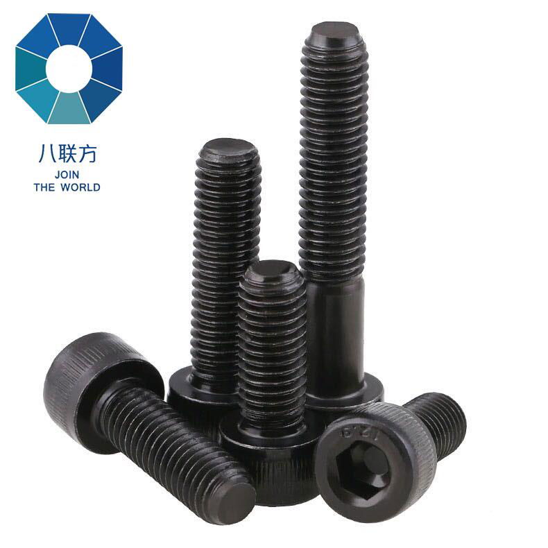 Hex bolts with nuts 2