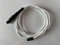 RF lesion generator Adapter cable