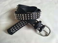 Studded PU Belts