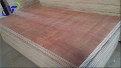 Packing Plywood Bintangor Garde AB