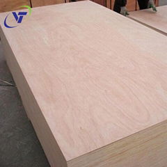 Commercial Plywood Okoume AB