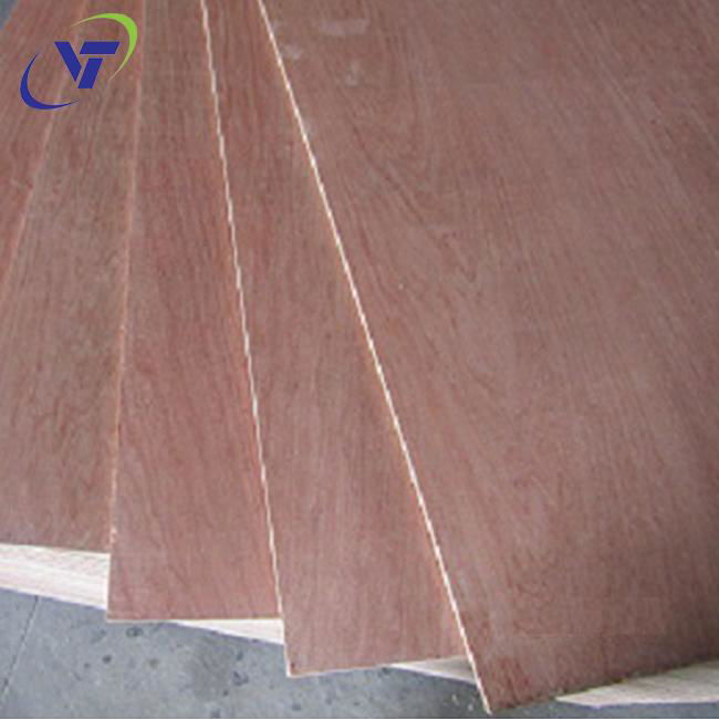 bintangor plywood grade BBCC 