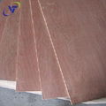 bintangor plywood grade BBCC  1