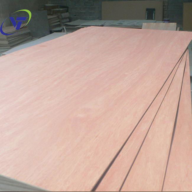 bintangor plywood grade BBCC  2