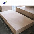 Commercial Plywood Pencil Cedar AB