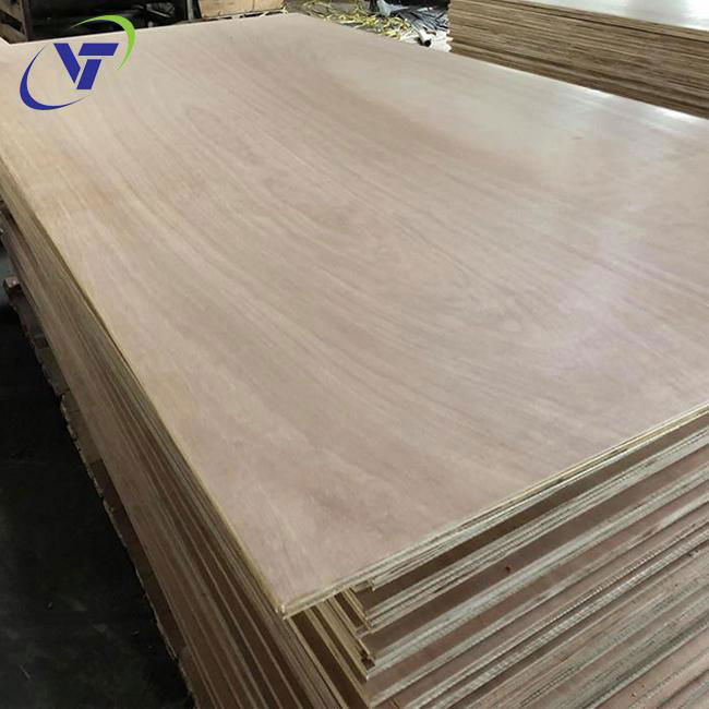 Commercial Plywood Pencil Cedar AB 2