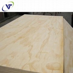 Commercial Plywood Pine AB