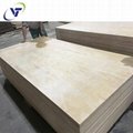 Commercial Plywood Pine AB 2