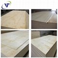 Commercial Plywood Pine AB 3