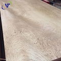 Sapele Plywood Grade AB 1