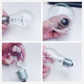 A55/A60 Clear Incandescent Bulb E27/B22 2