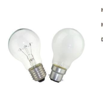 A55/A60 Frosted Incandescent Bulb