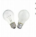 A55/A60 Frosted Incandescent Bulb 1