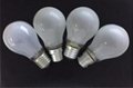 A55/A60 Frosted Incandescent Bulb 4