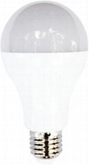 A70 LED Bulb 15W