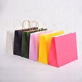 High quality Custom Paper Bag 1