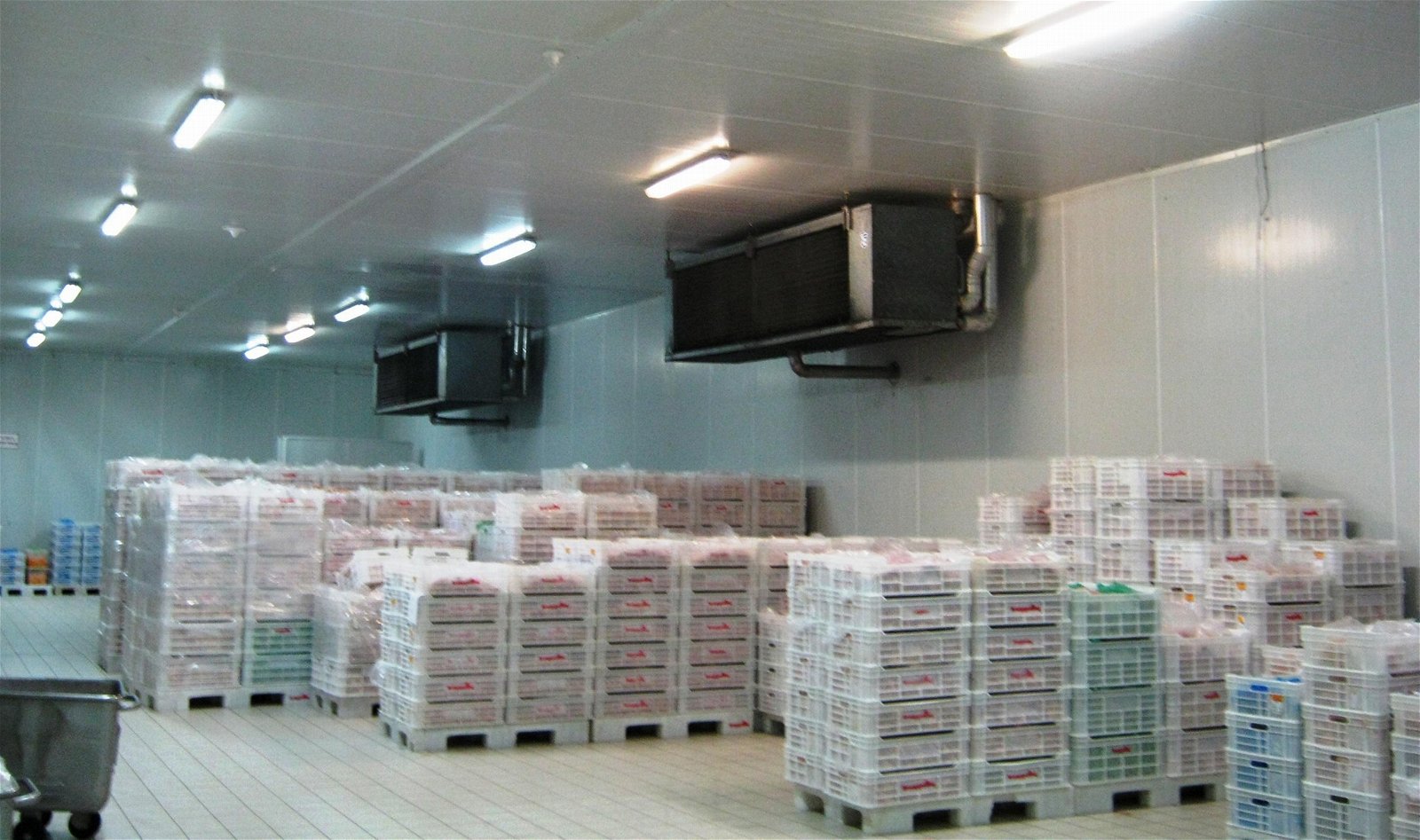 Cold storage room for fruit and vegetables
