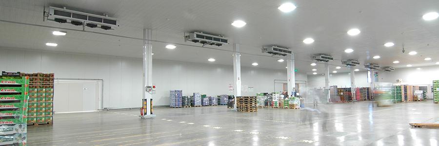 Cold storage room for fruit and vegetables 2