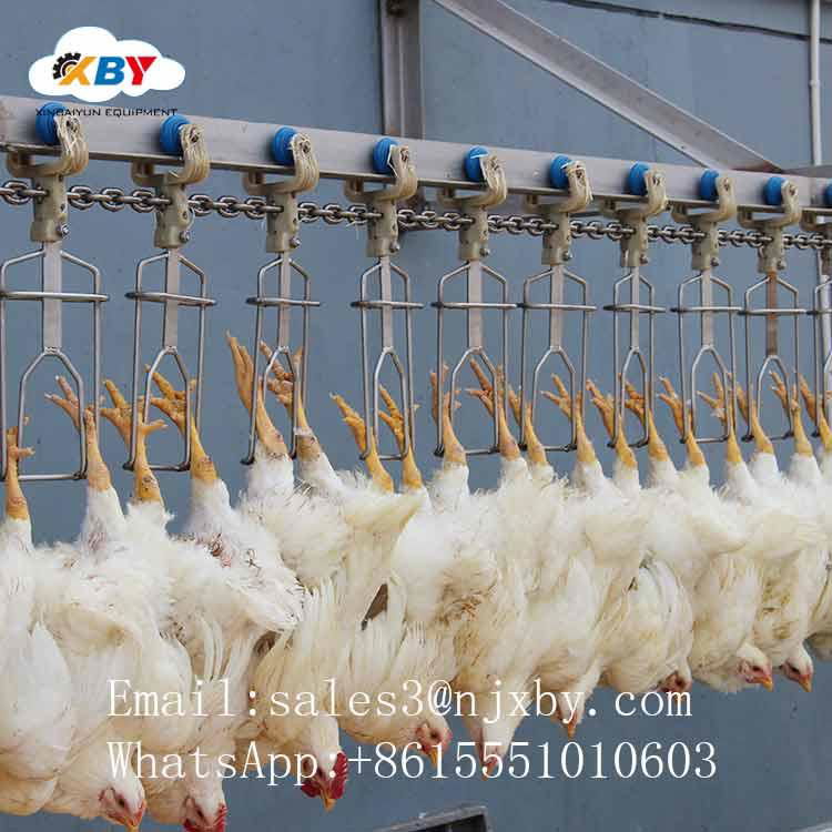 Competitive Halal Complete Chicken Slaughter line for Poultry Slaughterhouse