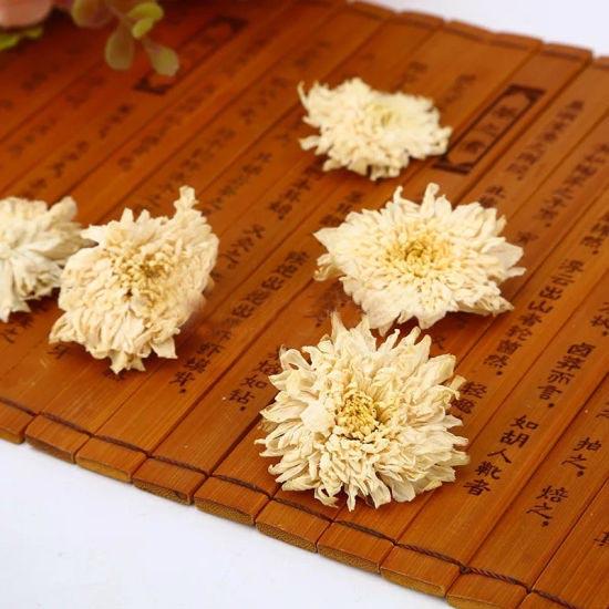 White Chrysanthemum High Quality 2