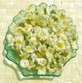 White Chrysanthemum（Gongju)） 1