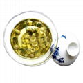 Embryonic Chrysanthemum Tea 1