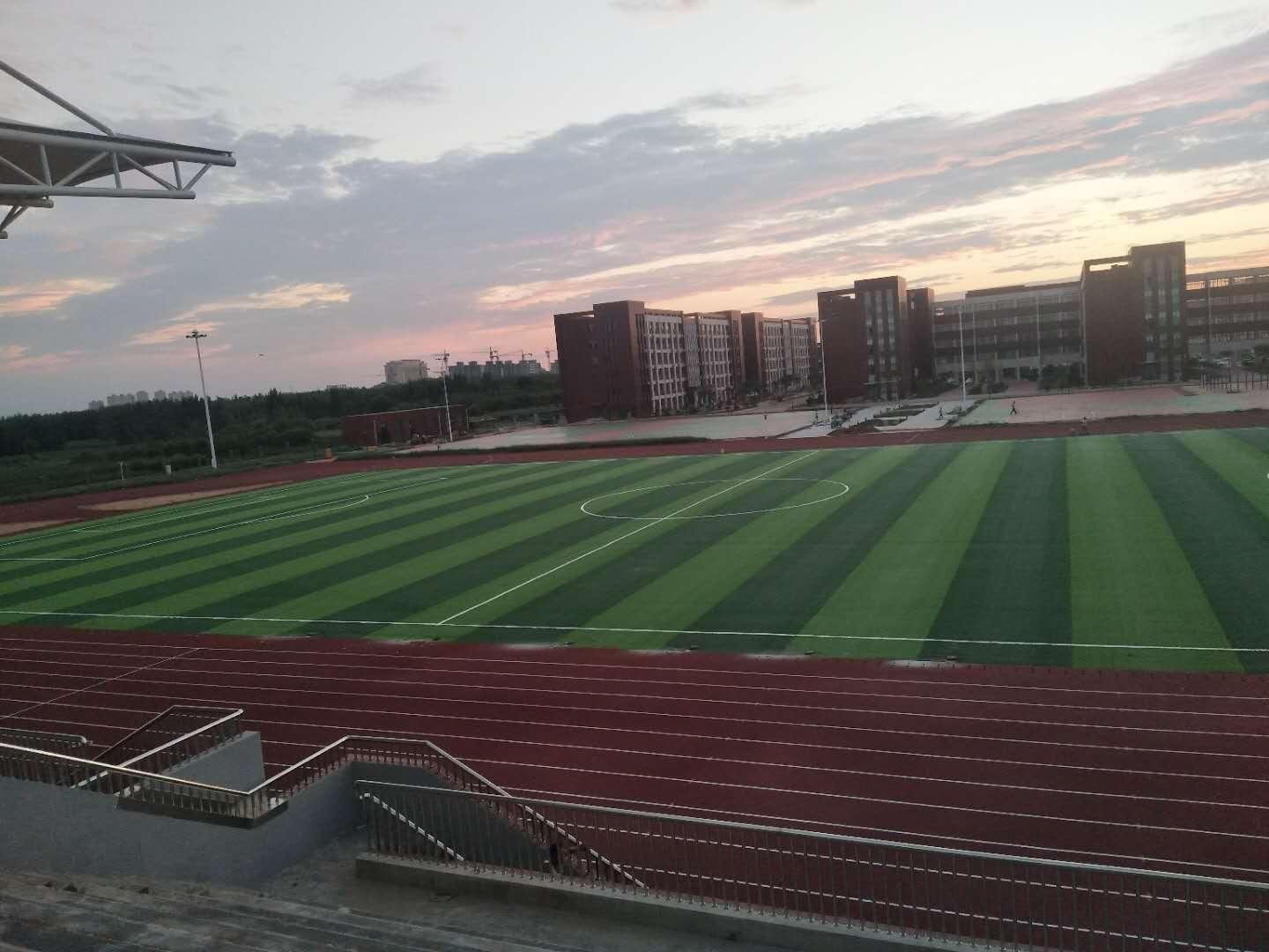 夏津县综合高中足球场人造草坪 3