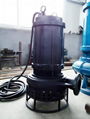 HSQ型潜水泥沙泵 2