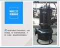 HSQ型耐磨潜水泥浆泵 2