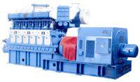 Series 300 Dual Fuel Genset