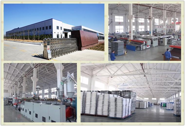 Qingdao Aistek Industry Co., Ltd (China Manufacturer) Company Profile