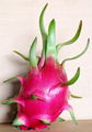 FRESH DRAGON FRUIT 1