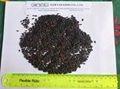 VIETNAM BLACK RICE  WITH HIGH QUALITY, COMPETITIVE PRICE