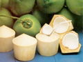 FRESH YOUNG COCONUT WITH HIGH QUALITY,