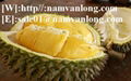 DURIAN