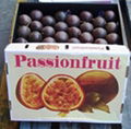 Fresh Passion Fruit 3