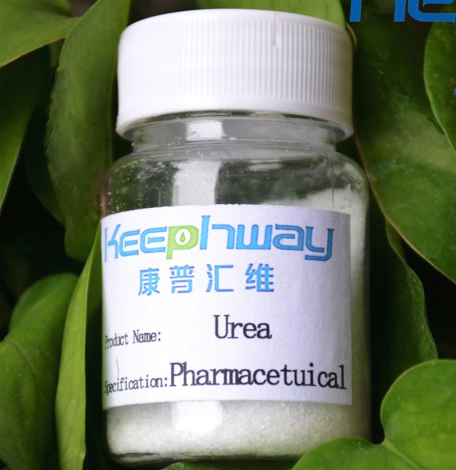 High-Purity Pharmaceutical Grade Urea