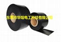 Polytetrafluoroethylene (PTFE) antistatic film