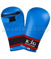 Karate Mitts 1