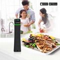  sous vide immersion circulator  for steak cooking 3
