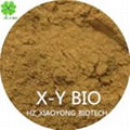 Tea Seed Meal Powder