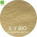 Amino Acid Powder 80% Organic for