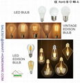 HOME BULB 1