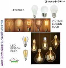 HOME BULB