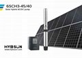 6SCH - AC/DC Solar Centrifugal Pump