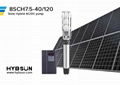 8SCH - AC/DC Solar Centrifugal Pump