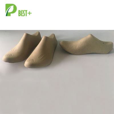 Shoe Pulp Trays 124 2