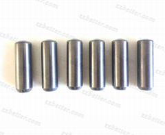 Flat Head Cemented Tungsten Carbide Roller Grinding Press HPGR Studs Pins