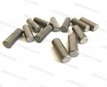Flat Head Cemented Tungsten Carbide Roller Grinding Press HPGR Studs Pins 3